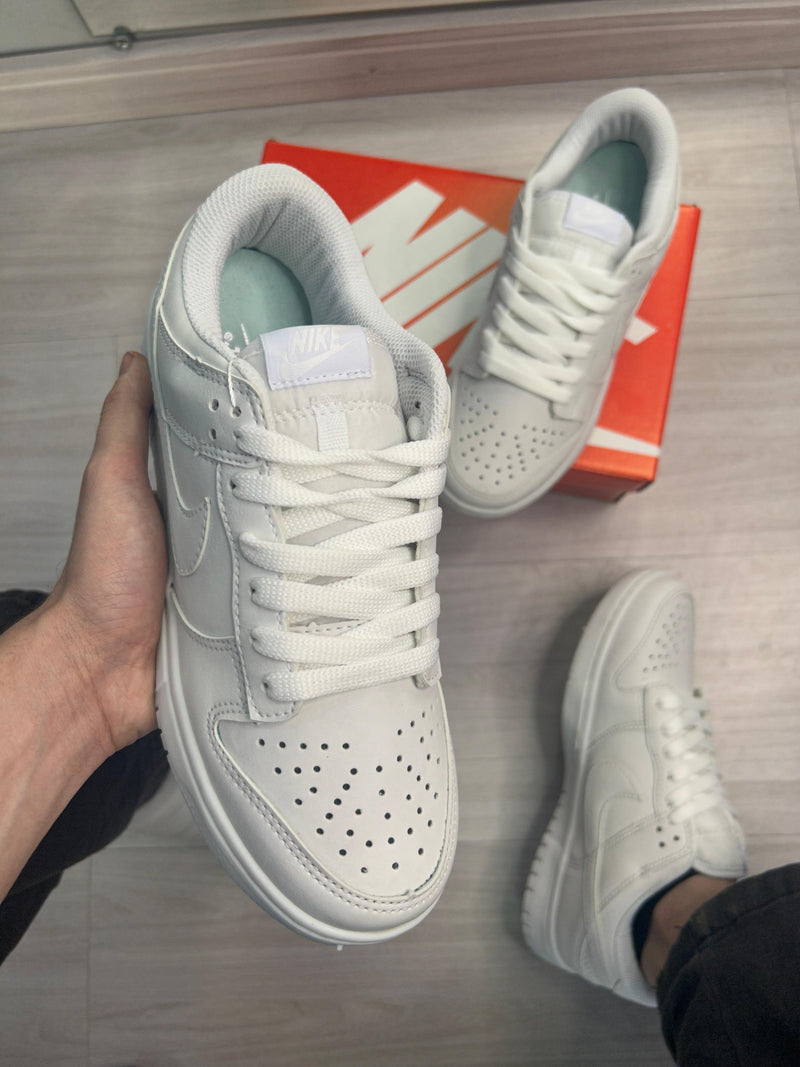 Nike Dunk Sb White