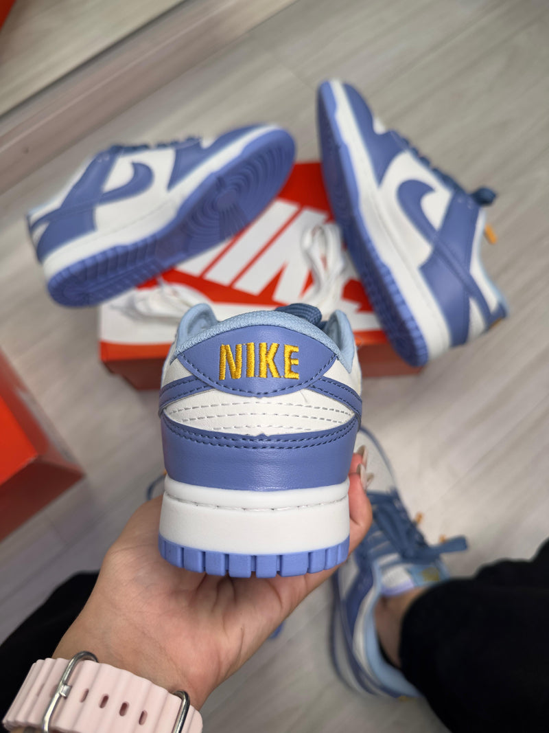 Nike Dunk Sb Blue